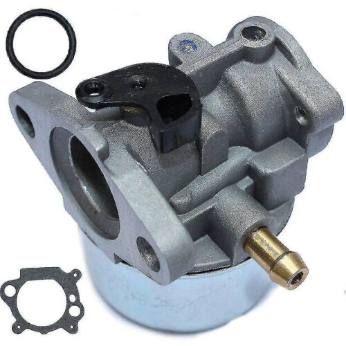 Briggs & Stratton 799868 Vergaser 1