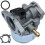 Briggs & Stratton 799868 Vergaser 1