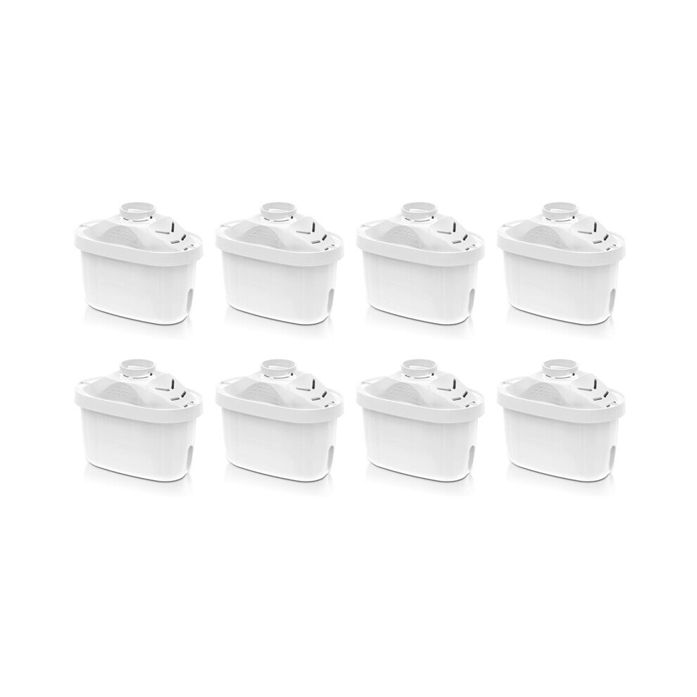 Lot de 8 filtres à eau pour carafe à eau, bouilloire de nettoyage domestique, filtre à eau potable direct