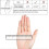 (As show, One size) Stroke Hand Splint Soft Function Rest Wrist Orthosis Night Hand Splint Support Fixator (Right Hand) 2