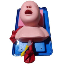 (As show, One size) Tracheal Intubation Infant Model, Nasal Intubation Model Simulator,Airway Management Teaching Aid Kit