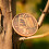 (As show, One size) 2024 Total Solar Eclipse Commemorative Coin - Copper Brass Bimetal 4
