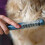 PetsBoro MatAway E-Comb,Lifweb MatAway E-Comb, PetBoro MatAway E Comb 5