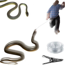 (As show, One size) Golf Snake Prank with String and Clip - Snake on A String Prank Props, Clip on Snake Prank for Teasing Friends, Realistic Snake Prank That Chases Peop