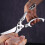 Stainless Steel Kitchen Scissors Heavy Duty Poultry Deboning Shears for Fish 5