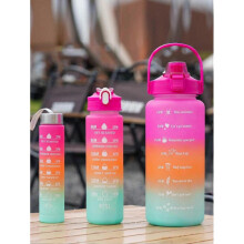 (280ml) 1pc 2L/750ml/300ml Rose Gradient PC Water Bottle with Straw for Sports, Travel & Outdoor Use