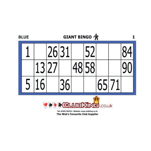 A4 Re-Usable Bingo Tickets / Cards (Blue/1-20)