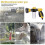 (orange) Dog Shower Shower Dog Shower Head 4