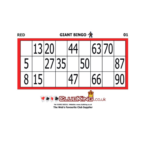 A4 Re-Usable Bingo Tickets / Cards (Red/1-20)
