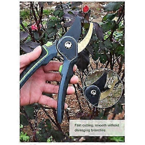 Horticulture Hand Pruner Garden Scissors Branch Shear Tool 1