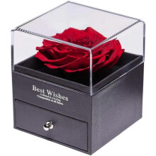 Rose Box, Infinity Rose Jewelry Gift Box, Real Rose Red, Rose Gift Kit
