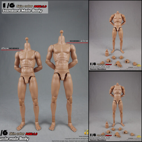 (BD007)COOMODEL 1/6 Standard scle Αρσενικό σώμα στρατιώτη BD001 BD002 BD003 BD0 1