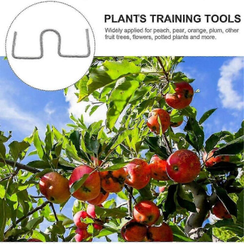 Fruit Tree Branch Puller and Bender Tool for Efficient Orchard Work,Open Angle Design for Easy Harvesting and Maintenance 1
