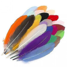 Assorted Colorful Feathers Pack-25 Soft Natural Feathers for DIY Crafts,Home Decor,and Art Projects
