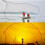 Fishing 8ft 24m Net Bait Easy Throw Hand Casting 34" Strong Nylon Mesh Fish 6