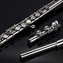 (As show, One size) Western Concert Flute Nickel Plated 16 Holes C Key Cupronickel Woodwind Instrument with Cleaning Cloth Stick Gloves Mini Screwdriver Padded Bag
