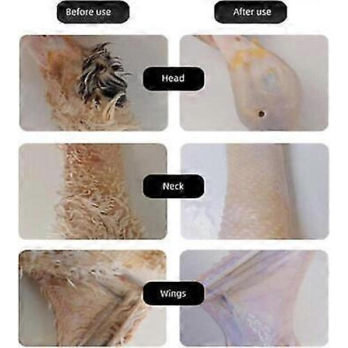(EU PLUG, Rechargeable) Electric Poultry Feather Plucker Plug in/Rechargeable Small Chicken Plucker Machine 2