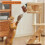 Jumping Squirrel Cat Toy,Rechargeable Hanging Squirrel Cat Toy,Interactive Toys 2