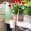 (12 heads) Automatic Timer Waterers Drip Irrigation 16/12/8/4/2 Pump Self-Watering Kits 4