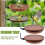(2pcs) Bird Trays Tree Mounted for Bird Feeder, Tree Mounted Bird Bath Bowl 2