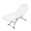 (White) Portable Folded Massage Table Beauty Salon Chair 6