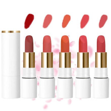 Sheer Matte Lipstick, 5PCS Lip Stick Matte, Light Matte Non-stick Lipstick, Waterproof Matte Lipstick Lip Makeup for Women