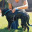 Sprayer with Massage Gloves for Pet Bath Tool 4