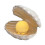 White Shell Pearl Light Led Portable Night Light Night Gift Desktop Decorative Light 1