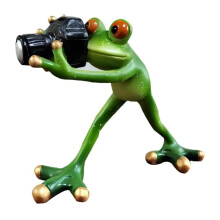 Resin Frog Photographer Figurine Lawn Ornament for Pool Patio Decor Lifelike