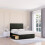 (Single, Dark Grey) Texas Dumfries Divan Bed Base ,2 Drawers & 26" Struts Headboard 1