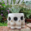 Skull Multiple Faces Figurine Flower Planter Polyresin for Cabinet Versatile 5