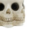 Skull Multiple Faces Figurine Flower Planter Polyresin for Cabinet Versatile 3