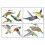 Ηλεκτρική σκούπα - Broom 9 Beautiful Hummingbird Birds αφαιρούμενα ιπτάμε 2
