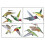 Ηλεκτρική σκούπα - Broom 9 Beautiful Hummingbird Birds αφαιρούμενα ιπτάμε 1