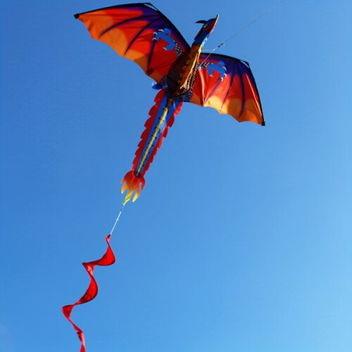 Giant 3D Pterosaur Kite with Spiral Tair - Ανθεκτικό πολυεστέρα και υαλοβάμβακ 2