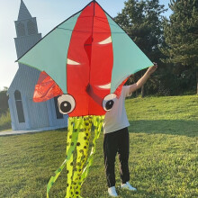 Octopus Kite 1.85M με 100M Kite Line, Sports Style, Chemical Fiber Material, Red and Green Color Positioning