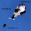 Giant Soft Dolphin Kite - Εύκολο πέταγμα, ανθεκτικός πολυεστέρας 2