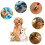 Pinzette per zecche per cani, gatti e bambini, set da 3, ganci per zecche e set da 2 3