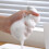 Highly Efficient Scouring Pad Kitchen Rags Strong Decontamination 6