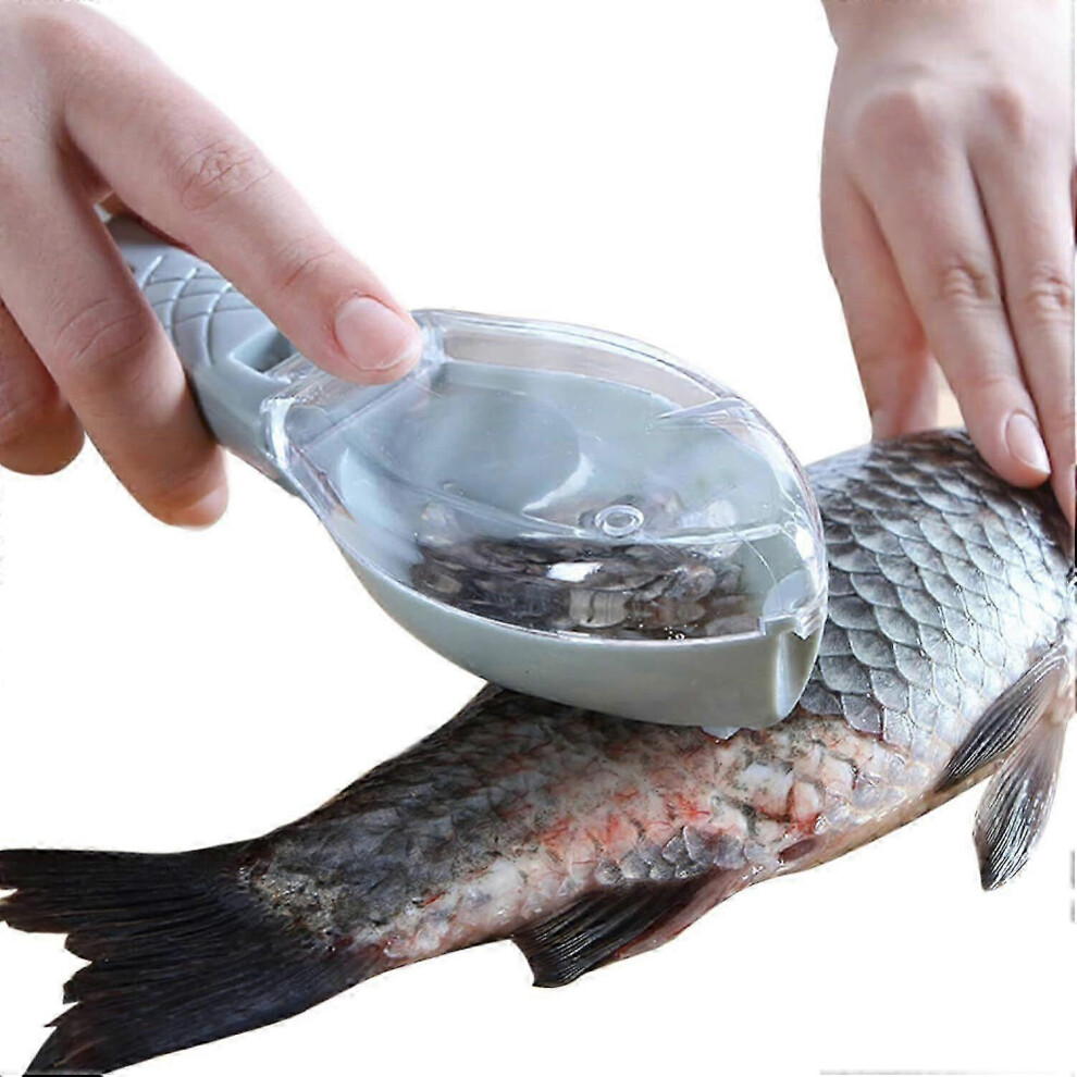 (Green, One Size) Fish Scaler Brush Fish Scaler Remover, Sawtooth Remove Fish Scales Scraper Tool 4633265455412