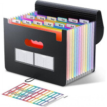 File Organizer, 12 Pockets Expanding File Folders, Portable Monthly Bill Receipt Organizer, Colorful Tabs, Letter/A4 Size for School, Home and Office,