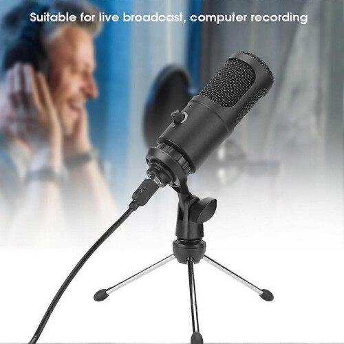 Large Diaphragm Condenser Microphone Live Broadcast Computer Recording Studio Mic 2