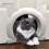 Cat Door Interior Cat Door Tunnel Free Access for Pets 4