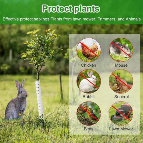 (4Pcs White) Tree Trunk Protector, 4Pcs Plastic Spiral Tree Guard, Plastic Tree Bark Wraps to Protect Bark from Animals and Lawn Mowers 2