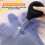 (Black)Sprinkler Ball, For Wool Felt Wet Felt Projects Diy Precision Water Dispensing Tools, Wet Felt Tool 2
