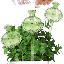 (3Pcs Clear Green)3Pcs Plant Watering Globes, Cactus Self Watering Planter Insert, Glass Plant Watering Devices for Indoor and Outdoor Plants