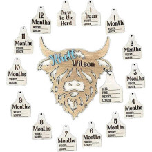 Highland Cow Milestone Markers, 15pcs Wooden Infant  Milestone Markers Set, Newborn Infant Gifts for Record Growth