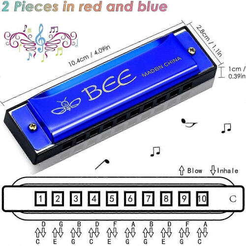 (As show, One size) Harmonica Set - 2 Pieces in C Major 10 Hole Diatonic for Beginners 1
