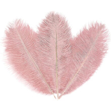 10pcs Light Pink Ostrich Feathers, Natural Lotus Pink Feathers Plumes 10-12 Inch (25-30cm) Bulk For Crafts Vase Wedding Party Centerpiece Flower Arran
