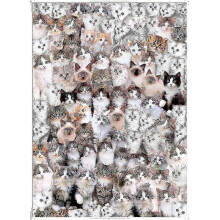 Puzzle 1000 Pieces. Adult Puzzle Cat. Puzzle Casual Game